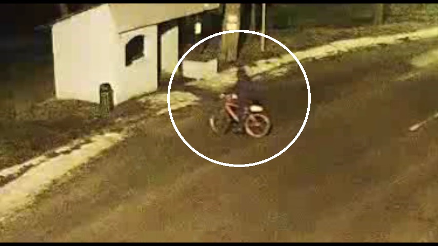 Wiata autobusowa obok niej mężczyzna na rowerze.