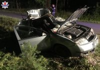 zdjęcie przedstawia samochód osobowy po zderzeniu z łosiem, przód samochodu jest zniszczony