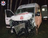 zdjęcie przedstawia samochód marki Volkswagen Crafter który uczestniczył w zdarzeniu drogowym z udziałem dzikiego zwierzęcia