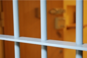 zdjęcie przedstawia na pierwszym planie kraty