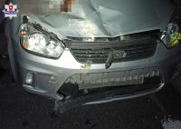 zdjęcie przedstawia samochód, który brał udział w zderzeniu z łosiem