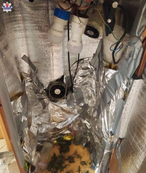 przyrząd do produkcji marihuany