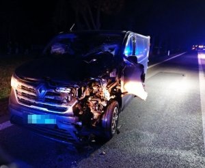 uszkodzony przód samochodu renault po zderzeniu z pieszym