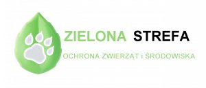zielona strefa plakat