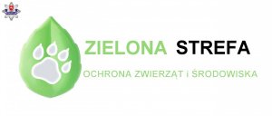 zielona strefa plakat