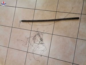 zdjecie przedstawia wnyki na jastrzebie