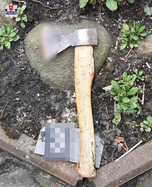 zdjęcie przedstawia siekierę na drewnianym trzonku