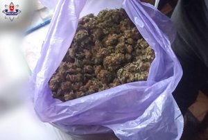 narkotyki ktore znajdują siew  fioletowym wokrku