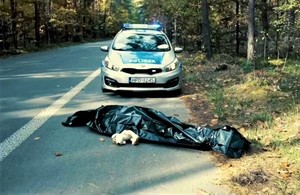 na zdjęciu radiowoóz i worek koloru czarnego