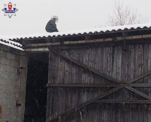 na zdjęciu poszukiwany na dachu stodoły