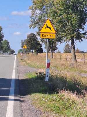 na zdjęciu na pierwszym planie znak drogowy ostrzegawczy w tle droga