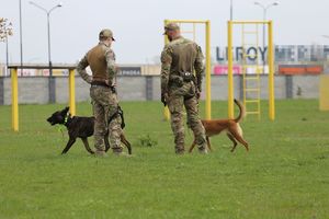 na zdjeciu psy służbowe i policjanci