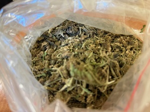 na zzdjęciu susz marihuany