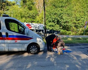 karetka, ratownik medyczny oraz uczestnicy instruktażu