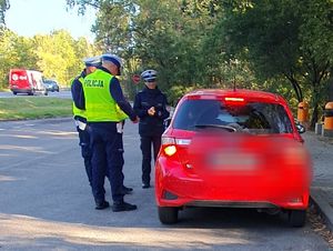 policyjna kontrola pojazdu na drodze