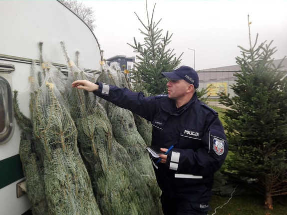 policjant sprawdza choinki