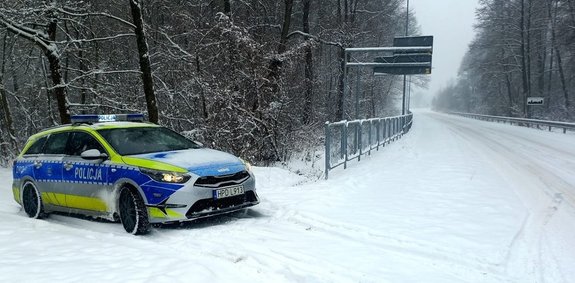 radiowóz stojący przy drodze