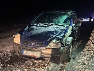 pojazd uczestniczący w wypadku