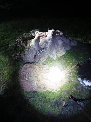 na zdjeciu sieci rybackie służące do połowu ryb