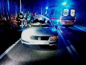 na zdjęciu samochód marki passat i sarna (1) (1)